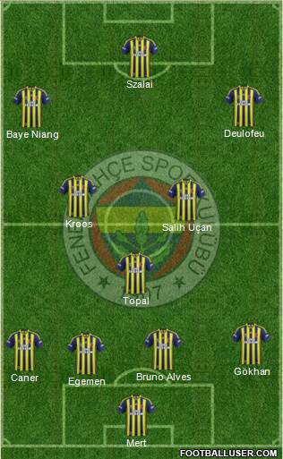 Fenerbahçe SK Formation 2013