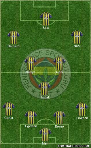 Fenerbahçe SK Formation 2013