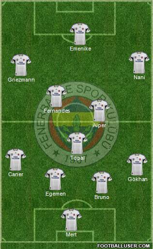 Fenerbahçe SK Formation 2013
