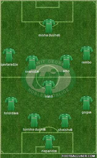 WIT-Georgia Tbilisi Formation 2013