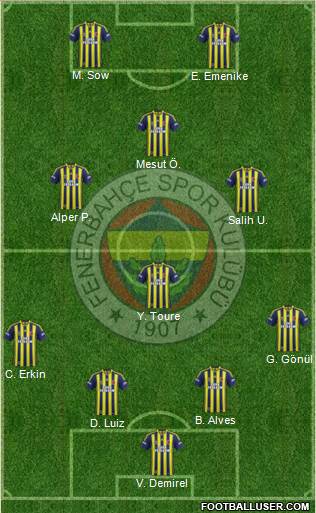 Fenerbahçe SK Formation 2013
