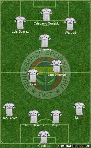 Fenerbahçe SK Formation 2013