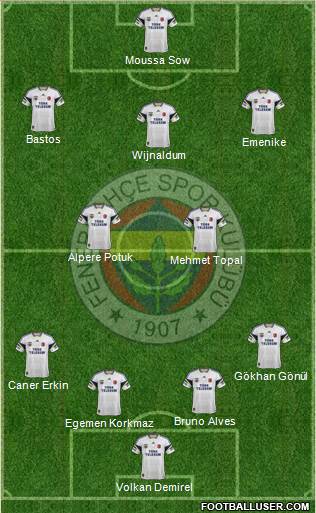 Fenerbahçe SK Formation 2013