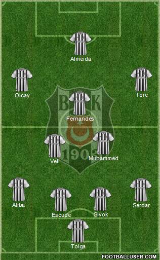 Besiktas JK Formation 2013