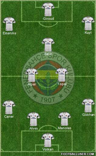 Fenerbahçe SK Formation 2013
