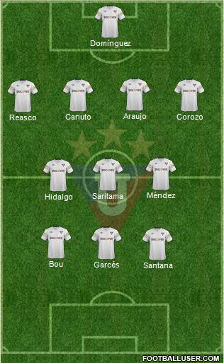 LDU de Quito Formation 2013