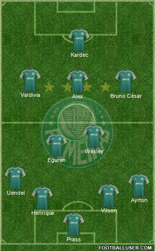SE Palmeiras Formation 2013