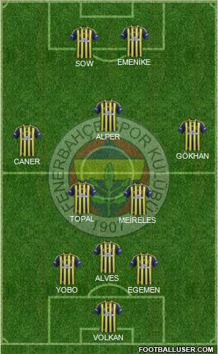 Fenerbahçe SK Formation 2013