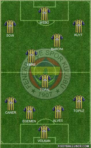 Fenerbahçe SK Formation 2013