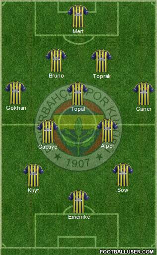 Fenerbahçe SK Formation 2013