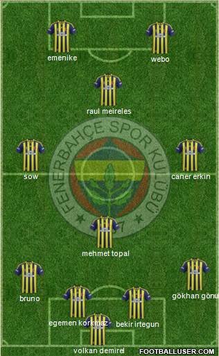 Fenerbahçe SK Formation 2013
