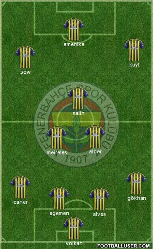 Fenerbahçe SK Formation 2013
