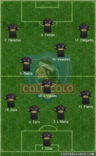 CSD Colo Colo Formation 2013