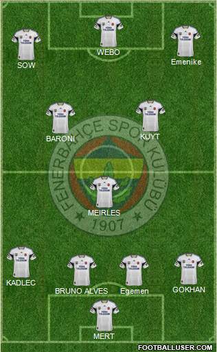 Fenerbahçe SK Formation 2013