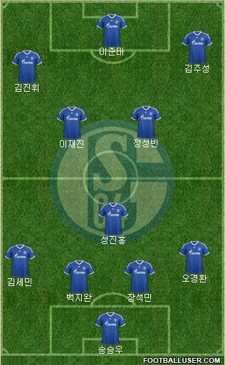 FC Schalke 04 Formation 2013