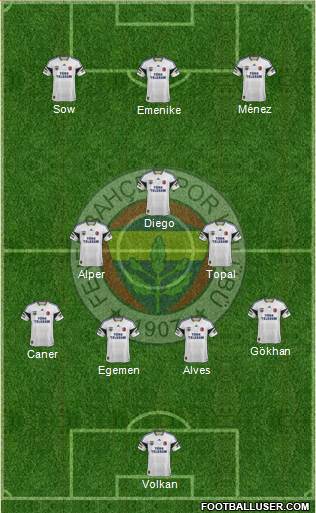 Fenerbahçe SK Formation 2013