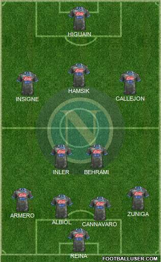 Napoli Formation 2013