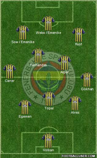 Fenerbahçe SK Formation 2013