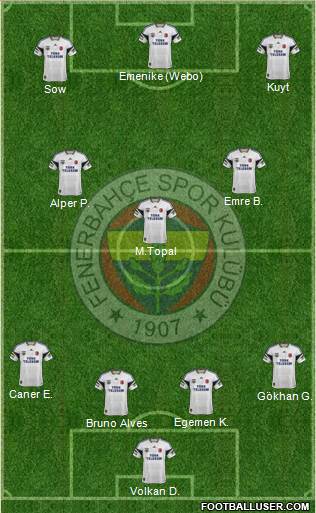 Fenerbahçe SK Formation 2013