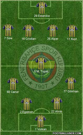 Fenerbahçe SK Formation 2013