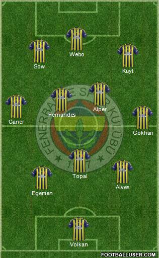 Fenerbahçe SK Formation 2013