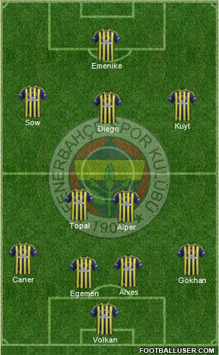 Fenerbahçe SK Formation 2013