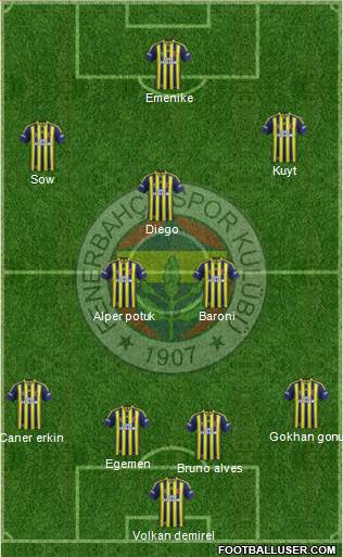 Fenerbahçe SK Formation 2013
