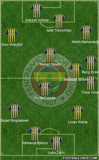 Fenerbahçe SK Formation 2013
