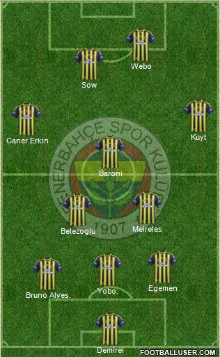 Fenerbahçe SK Formation 2013