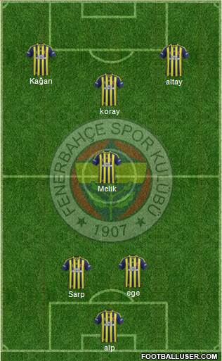 Fenerbahçe SK Formation 2013