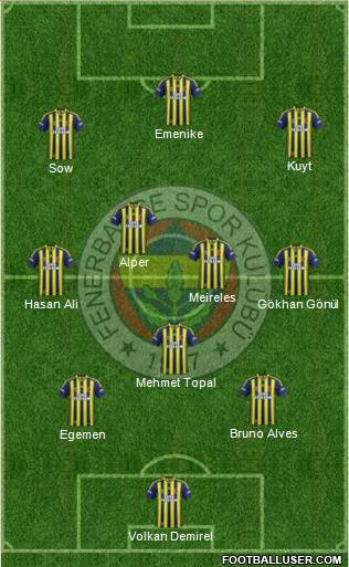 Fenerbahçe SK Formation 2013