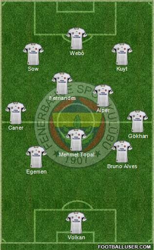 Fenerbahçe SK Formation 2013