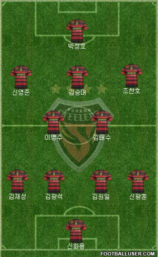 Pohang Steelers Formation 2013