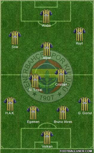 Fenerbahçe SK Formation 2013