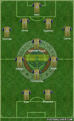 Fenerbahçe SK Formation 2013