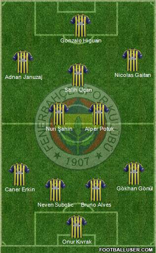 Fenerbahçe SK Formation 2013