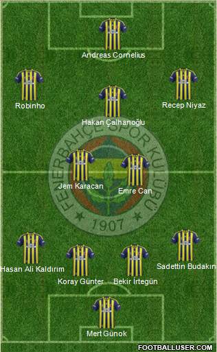 Fenerbahçe SK Formation 2013
