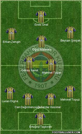 Fenerbahçe SK Formation 2013