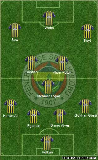 Fenerbahçe SK Formation 2013