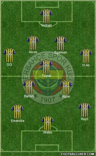 Fenerbahçe SK Formation 2013