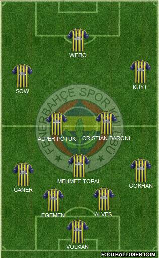 Fenerbahçe SK Formation 2013