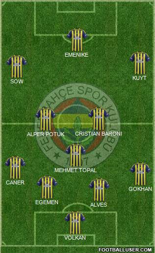 Fenerbahçe SK Formation 2013