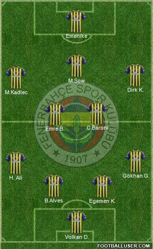 Fenerbahçe SK Formation 2013