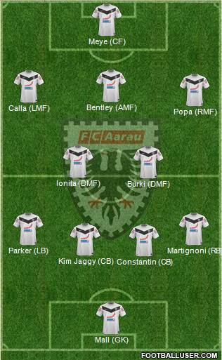 FC Aarau Formation 2013