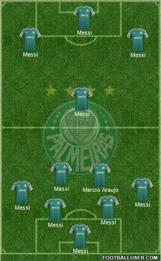 SE Palmeiras Formation 2013
