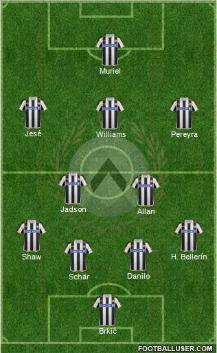 Udinese Formation 2013