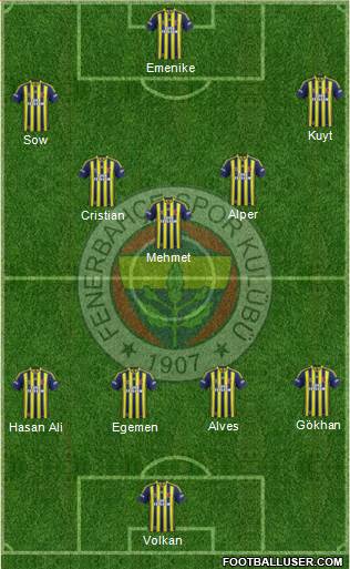 Fenerbahçe SK Formation 2013