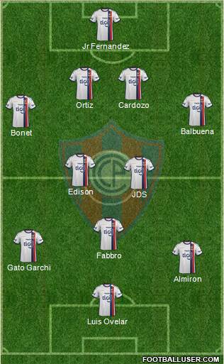 C Cerro Porteño Formation 2013