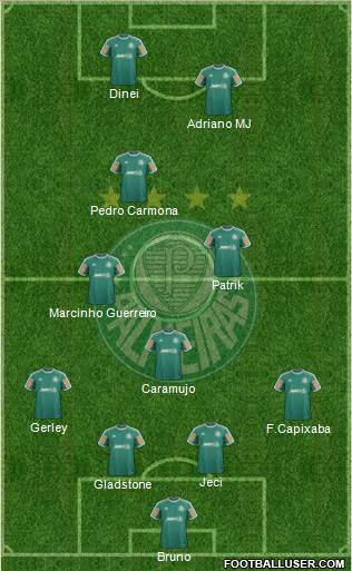 SE Palmeiras Formation 2013