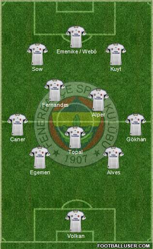 Fenerbahçe SK Formation 2013